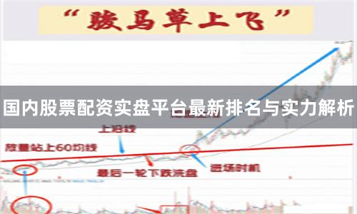 国内股票配资实盘平台最新排名与实力解析