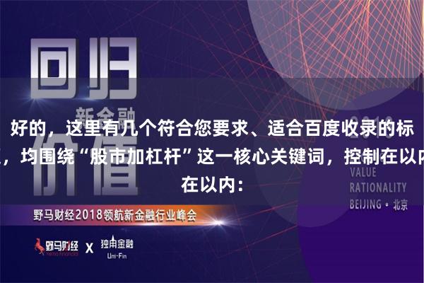好的，这里有几个符合您要求、适合百度收录的标题，均围绕“股市加杠杆”这一核心关键词，控制在以内：